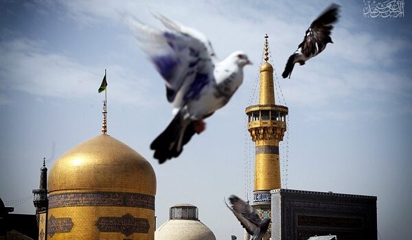 تور هوایی مشهد از تهران